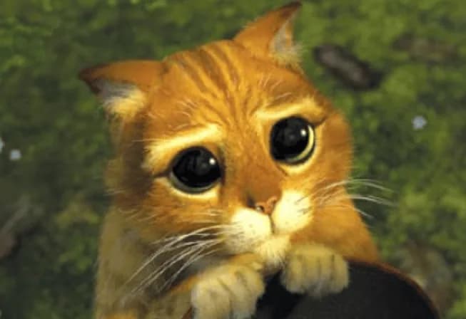 Why a College Fund Should Be on Every Parent's Registry