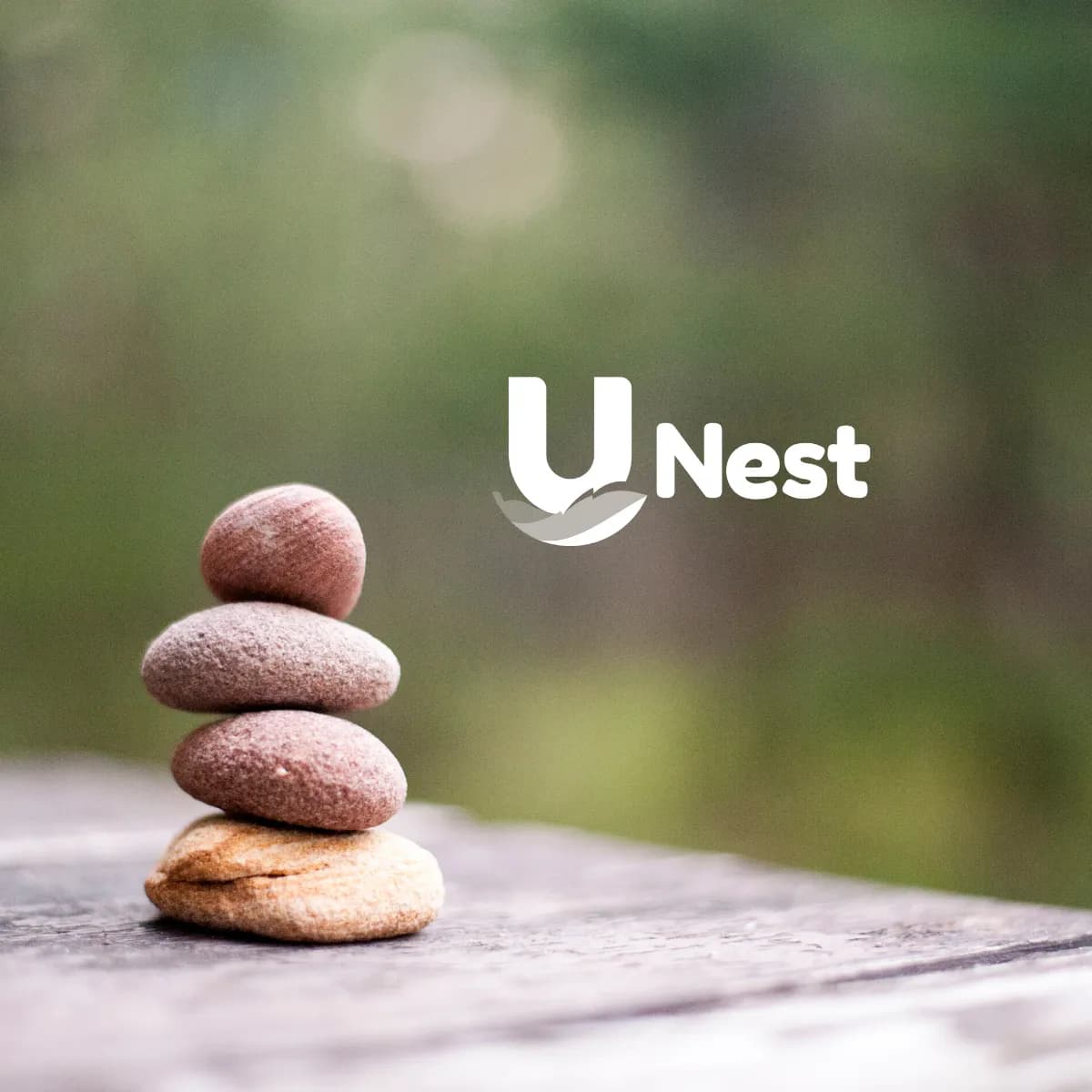 Overwhelmed by Finances? Start Small with UNest